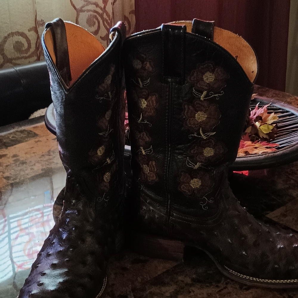 Women's size 9 Ostrich and hand embroidery designs up the boots. On both sides.